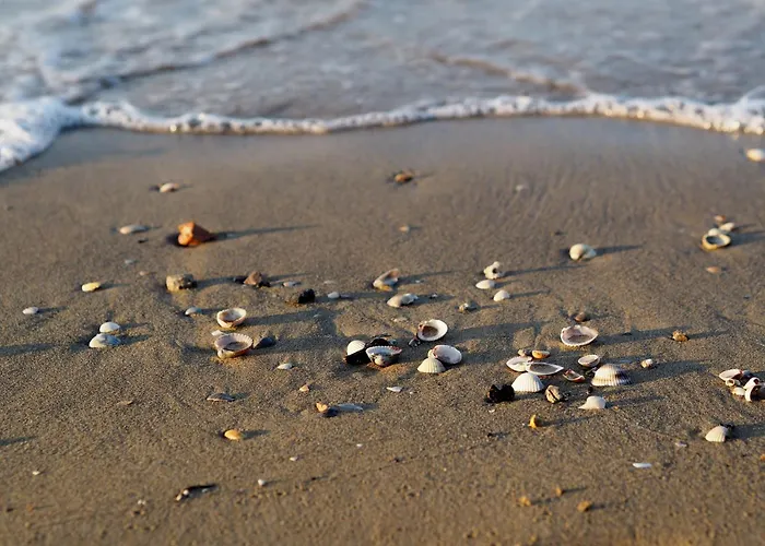 아파트 Rooftop Pool And Sea Nearby-beahost